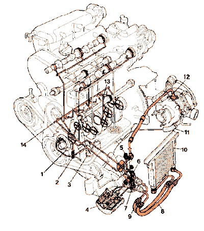 Der �lk�hler im �lkreislauf